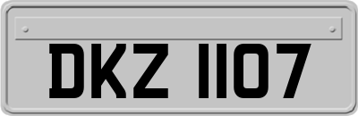 DKZ1107