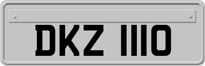 DKZ1110
