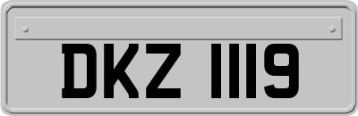 DKZ1119