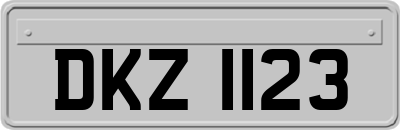 DKZ1123