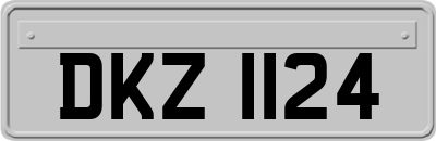 DKZ1124
