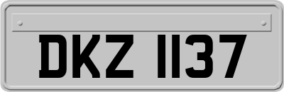 DKZ1137
