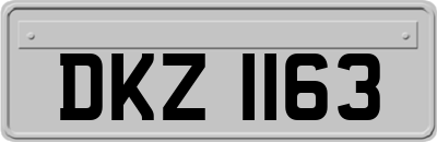 DKZ1163