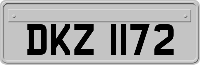 DKZ1172
