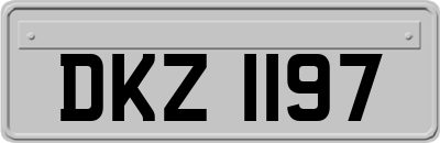 DKZ1197