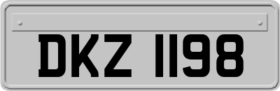 DKZ1198