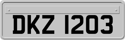 DKZ1203