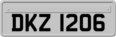 DKZ1206