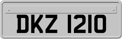 DKZ1210