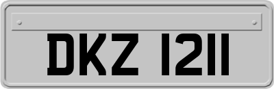 DKZ1211