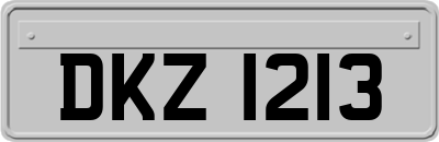 DKZ1213