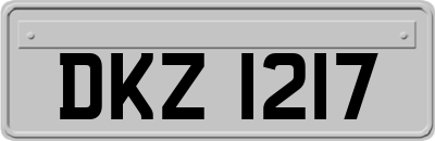 DKZ1217