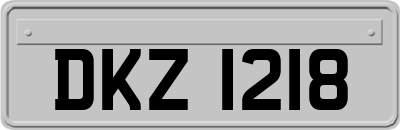 DKZ1218