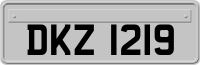 DKZ1219