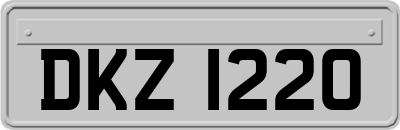 DKZ1220