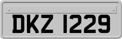 DKZ1229