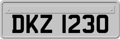 DKZ1230