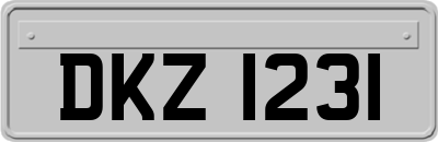 DKZ1231