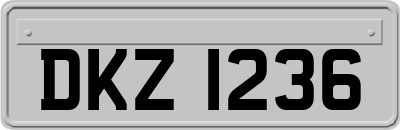 DKZ1236