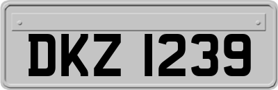 DKZ1239