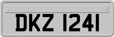 DKZ1241