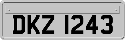 DKZ1243
