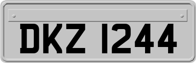 DKZ1244