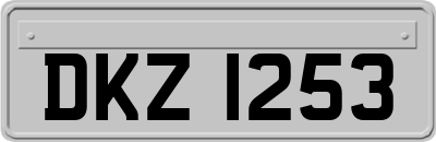 DKZ1253
