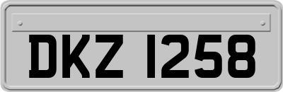 DKZ1258