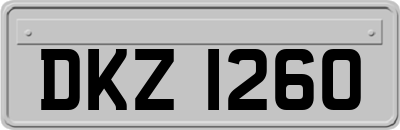 DKZ1260