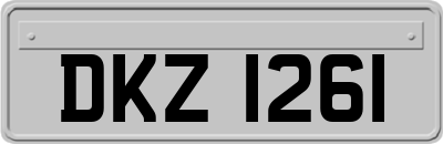 DKZ1261