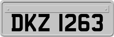 DKZ1263