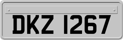 DKZ1267