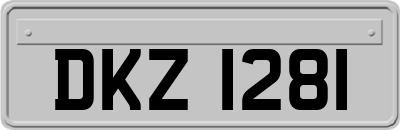 DKZ1281