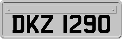 DKZ1290
