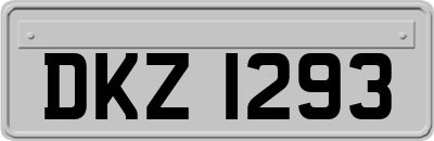 DKZ1293
