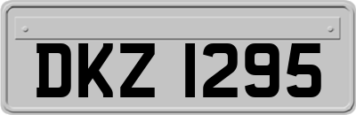 DKZ1295