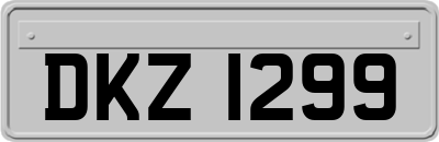 DKZ1299
