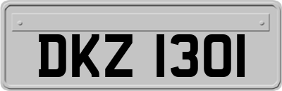 DKZ1301