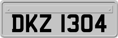 DKZ1304