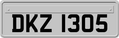 DKZ1305