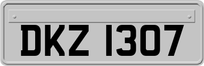 DKZ1307