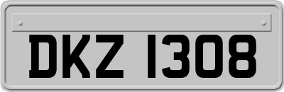 DKZ1308