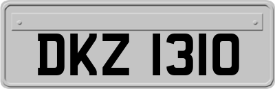 DKZ1310