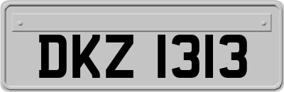 DKZ1313