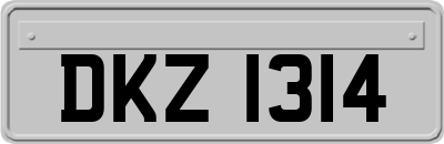 DKZ1314