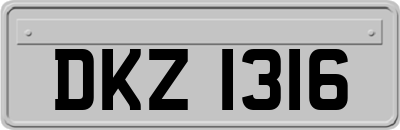 DKZ1316