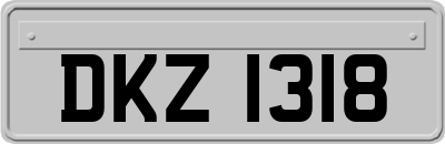 DKZ1318