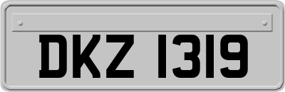 DKZ1319