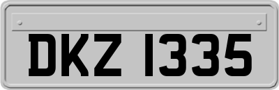 DKZ1335
